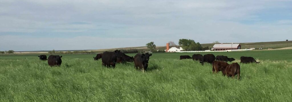 Flying B Bar Ranch Partner